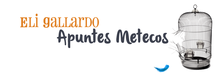 Eli Gallardo Apuntes Metecos banner